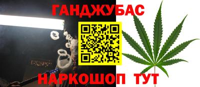 гидра Краснодар