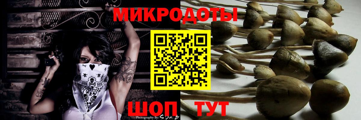 Заволжье  Галлюциногенные грибы мицелий  Вход с VPN  Галлюциногенные грибы мухоморы 